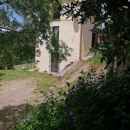 La Peonia Casa Vacanze In Montagna Prato Verde Panorama Stupendo Sardegna Seulo Екстер'єр фото
