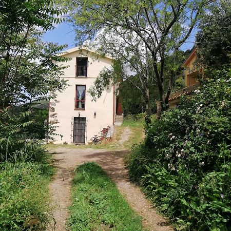 La Peonia Casa Vacanze In Montagna Prato Verde Panorama Stupendo Sardegna Seulo Екстер'єр фото
