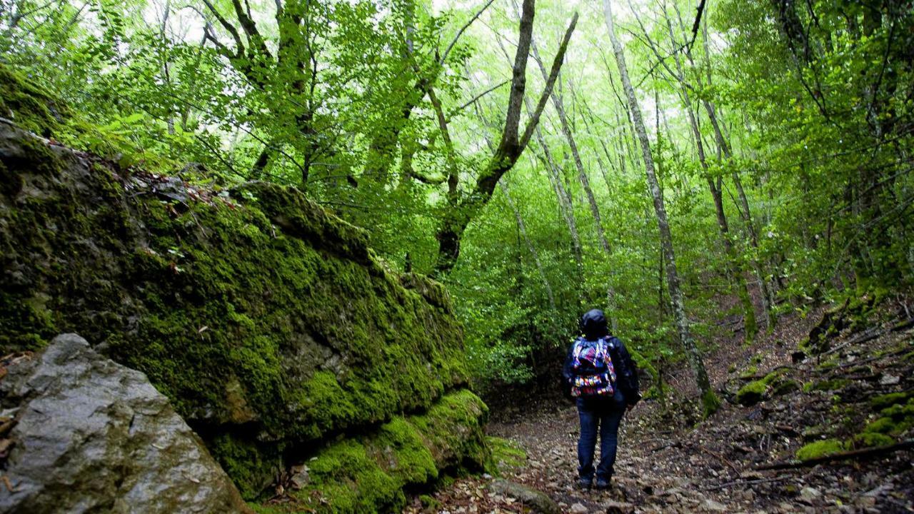 La Peonia Casa Vacanze In Montagna Prato Verde Panorama Stupendo Sardegna Seulo Екстер'єр фото