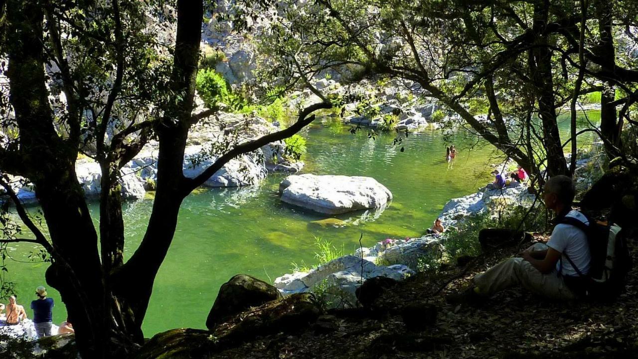 La Peonia Casa Vacanze In Montagna Prato Verde Panorama Stupendo Sardegna Seulo Екстер'єр фото