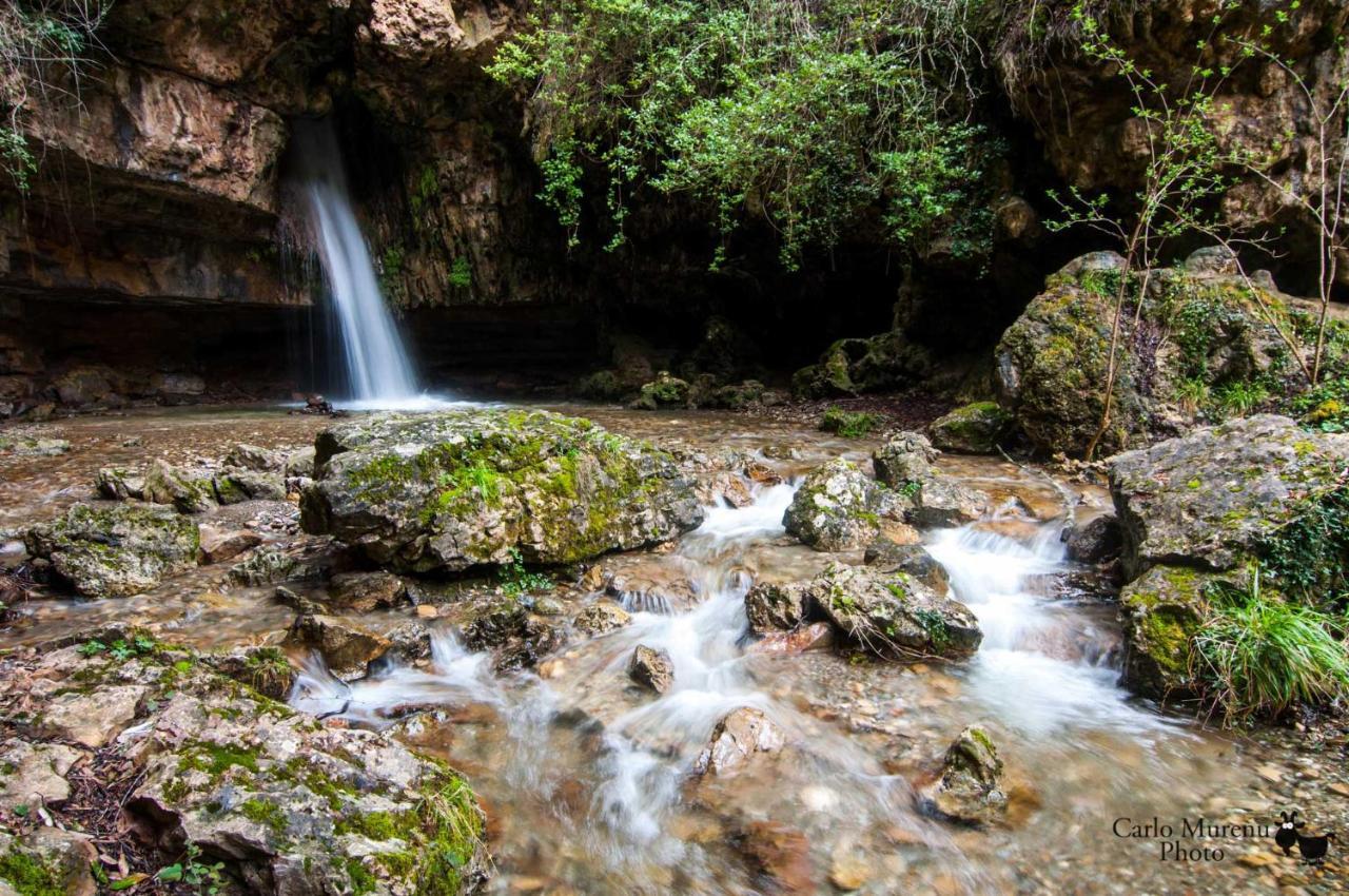 La Peonia Casa Vacanze In Montagna Prato Verde Panorama Stupendo Sardegna Seulo Екстер'єр фото