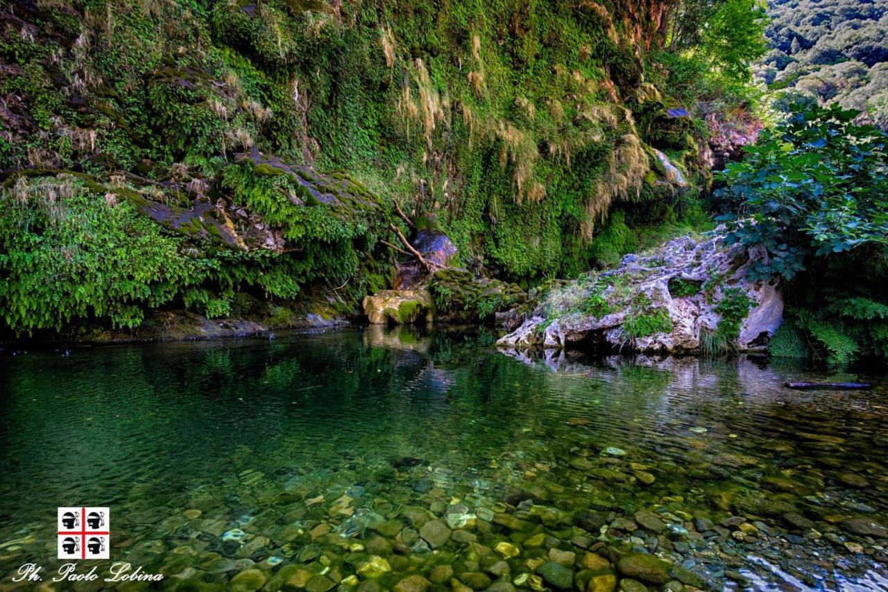 La Peonia Casa Vacanze In Montagna Prato Verde Panorama Stupendo Sardegna Seulo Екстер'єр фото